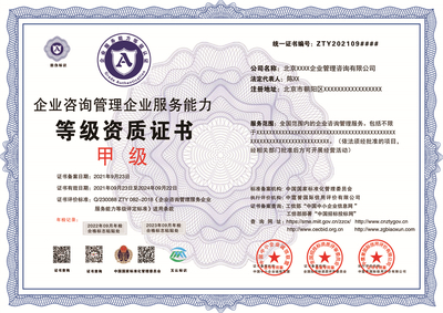 企業(yè)管理咨詢資質投標必備指南 核心要素與成功策略